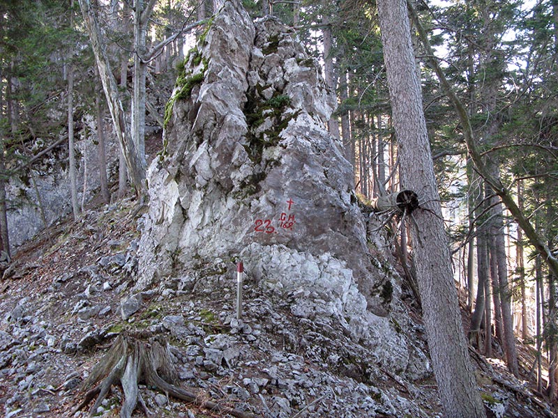 spielmannkogel